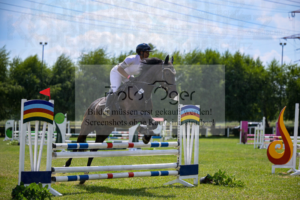 Reitturnier Voxtrup | Entdecke hochwertige Reitturnierfotos von Foto Oger. Professionell, emotional und authentisch – jetzt Lieblingsmomente im Shop bestellen. - Realisiert mit Pictrs.com
