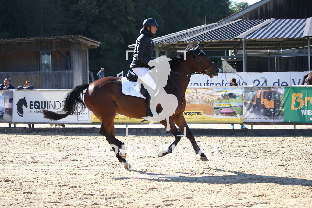 DL2Q3663 | Willkommen bei Brunnmayr - Design & Fotografie – Ihrem Spezialisten für Reitturniere und Pferdeveranstaltungen in Oberösterreich, Salzburg und Bayern! Seit über 17 Jahren sind wir leidenschaftlich dabei.
