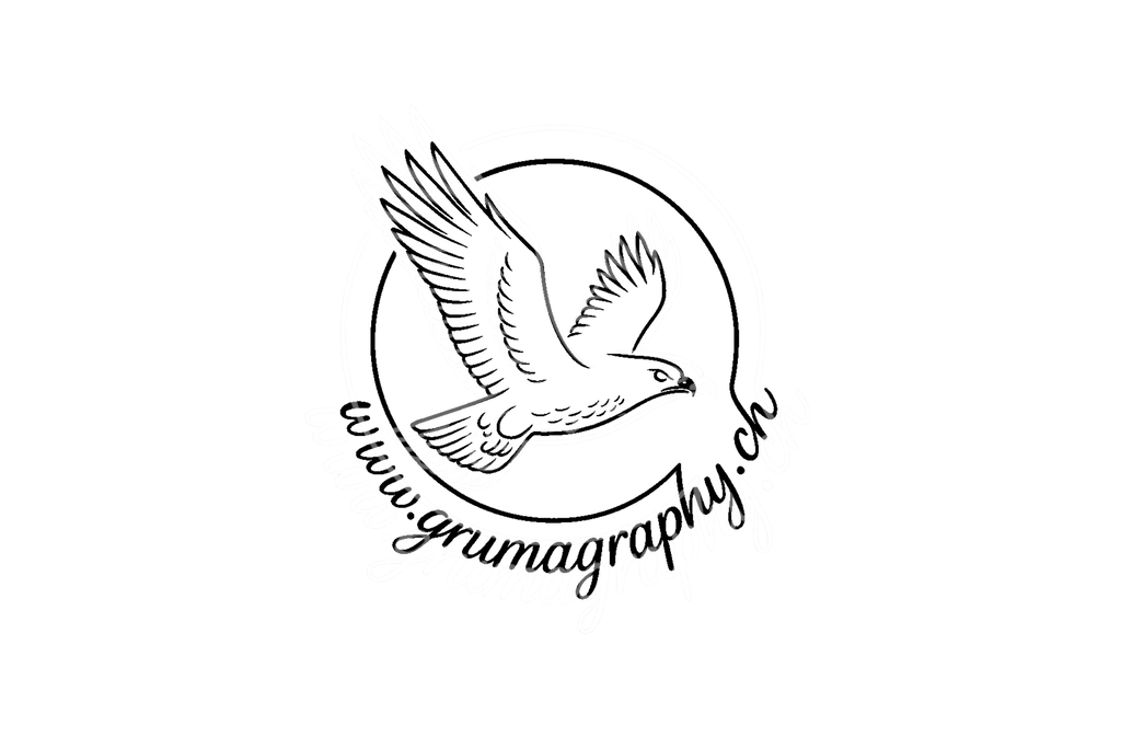 logo horizontal | Authentische Landschafts- & Wildtierfotografie aus der Schweiz. Hochwertige Wandbilder, Fine-Art-Prints und Wunschmotive nach Auftrag – sorgfältig entwickelt im Grumagraphy-Style