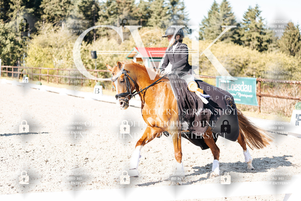CK908504 | Turnierfotografie Pferdefotografie Trier Rheinland-Pfalz Pferdesport Reitsport Tierfotografie Sportfotografie Pferdevideo Pferdevideografie Equestrianvideography equestrianphotography  - Realisiert mit Pictrs.com