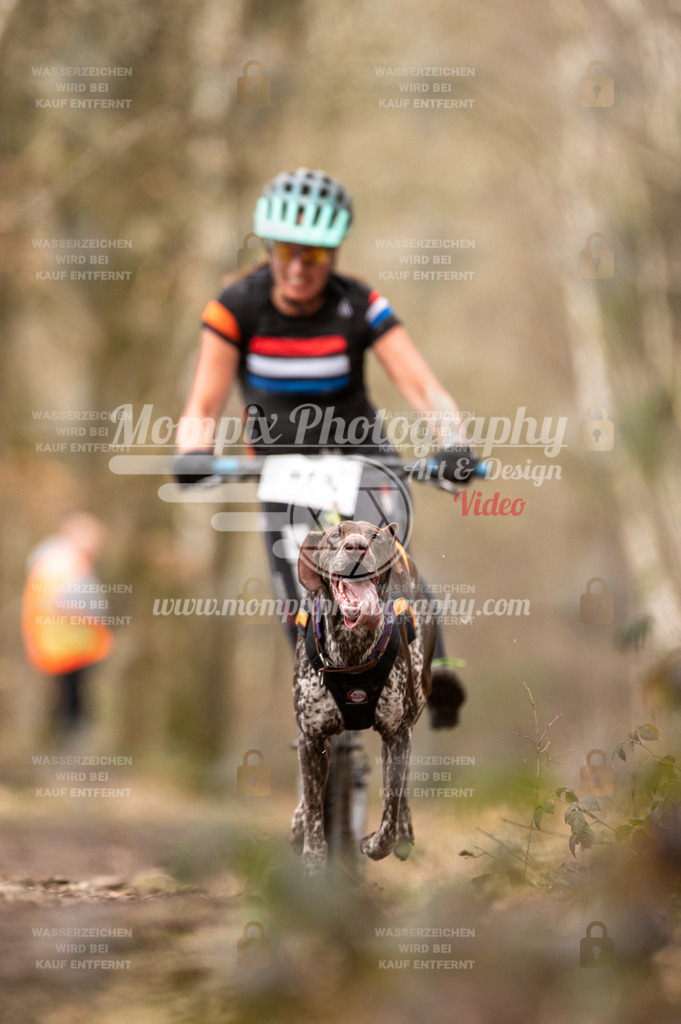 SPA_2023_SAM_Scooter-40 | PayLife