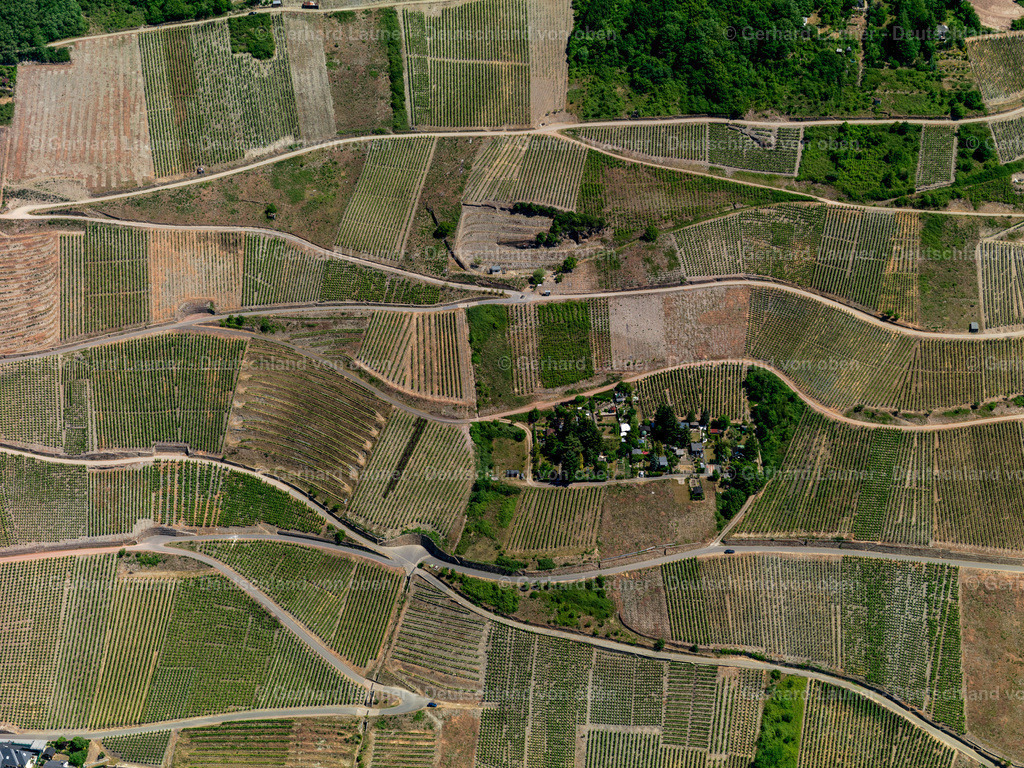 3114433 | Weinberge bei Zell a.d.Mosel