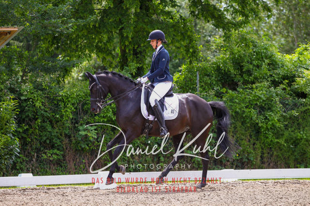DKP41063 | Turnierfotos kaufen im Webshop von Daniel Kuhl Photography – entdecke professionelle Reitsportfotos aus Turnieren & Events. Hochwertige Turnierbilder online bestellen & sichern. Jetzt Fotos von Reitsportturnieren kaufen!