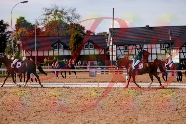 2026_10_03_Siefer-Hof_133146_Z81_86470788 | Professionelle Reitsport-, Turnier- und Eventfotografie von Robert Broda. Galerien mit ausgewählten und bearbeiteten Bildern direkt online ansehen und bestellen.