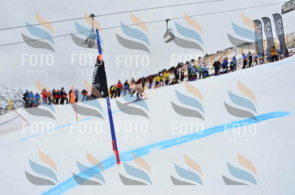 _ELE3222 | holidayphoto