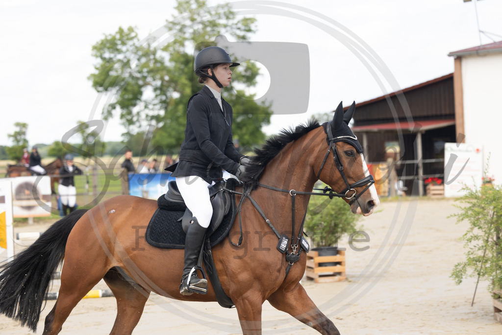 994A9352 | sabrinanicolaifotografie - Realisiert mit Pictrs.com