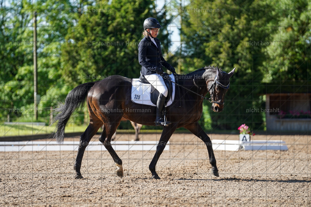 20240519-FAH04312 | Turnierbilder Niederseeon 2024, Vielseitigkeitsdressur, Reitsportbilder aus dem Landkreit Ebersberg, Gut Steinsee, RC Steinsee, Fotoagentur Herrmann