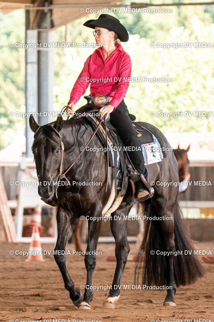 Erbach Tag 1-578 | dv-media-shop - Realisiert mit Pictrs.com