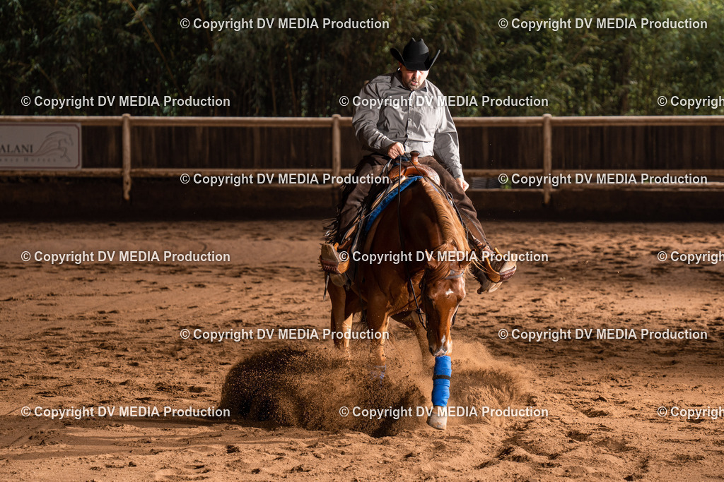 Erbach Tag 2-817 | dv-media-shop - Realisiert mit Pictrs.com