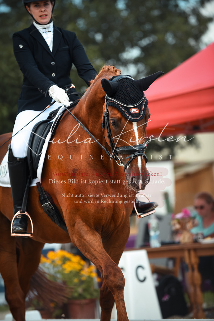 DSC_9104 | Pferde- und Turnierfotografie in Westsachsen. Pferdeportraits, Auftragszeichnungen und intuitive Kunst.
