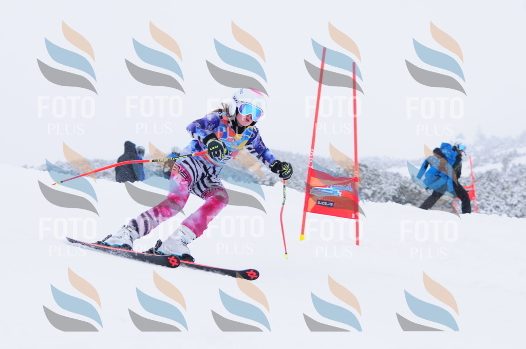 C3729 | holidayphoto