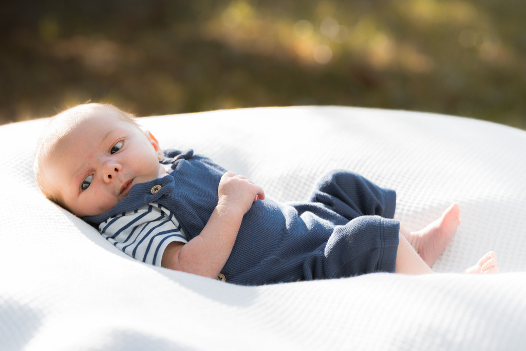 ZD260823180303 | Fotoshop von zweidimensional Fotografie. Ihr Fotograf im Aargau. Abzüge von Ihrem Fotobox Event bestellen.Abzüge von Ihrem Hochzeit bestellen.Abzüge von Ihrem Schulfotograf bestellen.