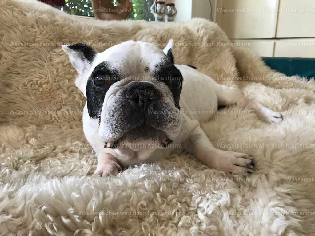 IMG_1367 | heikomoeller - Realisiert mit Pictrs.com