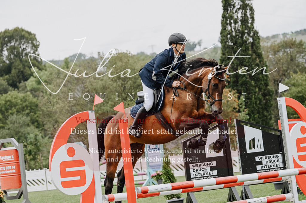 DSC_6995 | Pferde- und Turnierfotografie in Westsachsen. Pferdeportraits, Auftragszeichnungen und intuitive Kunst.