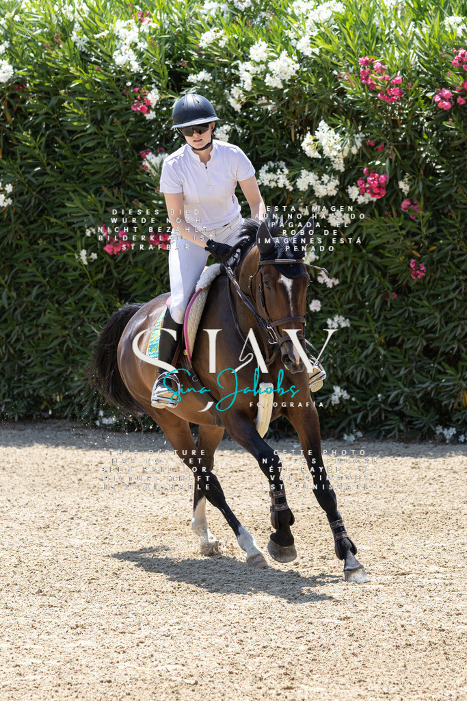 IMG_2420 | s-jay-photography - Realisiert mit Pictrs.com