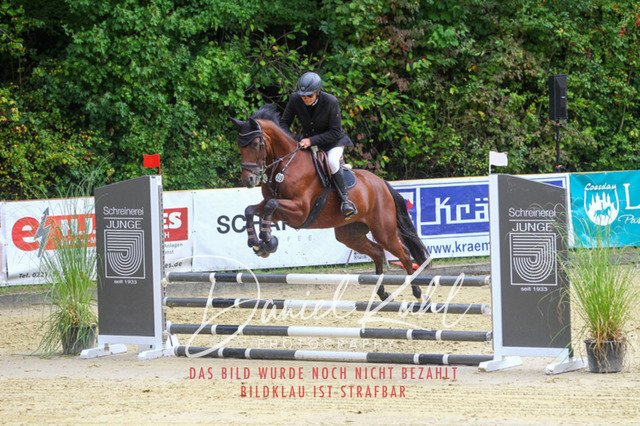 DKP40237 | Turniersportfotografie; Pferdefotografie; Dressurfotografie