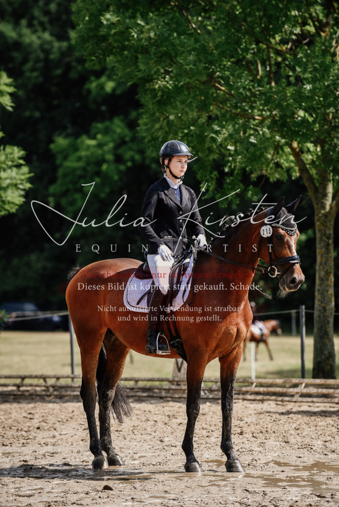 DSC_0504 | Pferde- und Turnierfotografie in Westsachsen. Pferdeportraits, Auftragszeichnungen und intuitive Kunst.