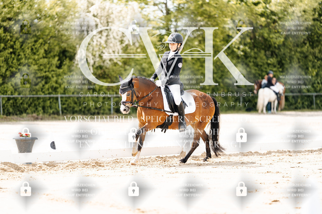 CK901718 | Turnierfotografie Pferdefotografie Trier Rheinland-Pfalz Pferdesport Reitsport Tierfotografie Sportfotografie Pferdevideo Pferdevideografie Equestrianvideography equestrianphotography  - Realisiert mit Pictrs.com