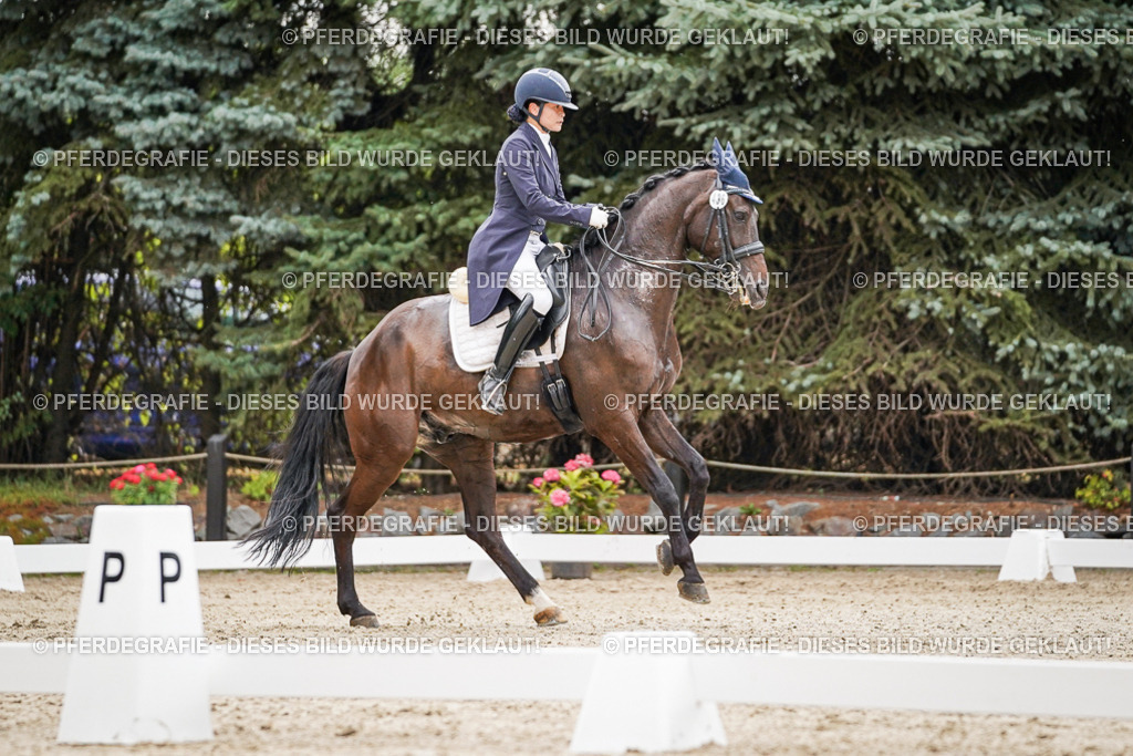 DSC07672 | Pferdegrafie