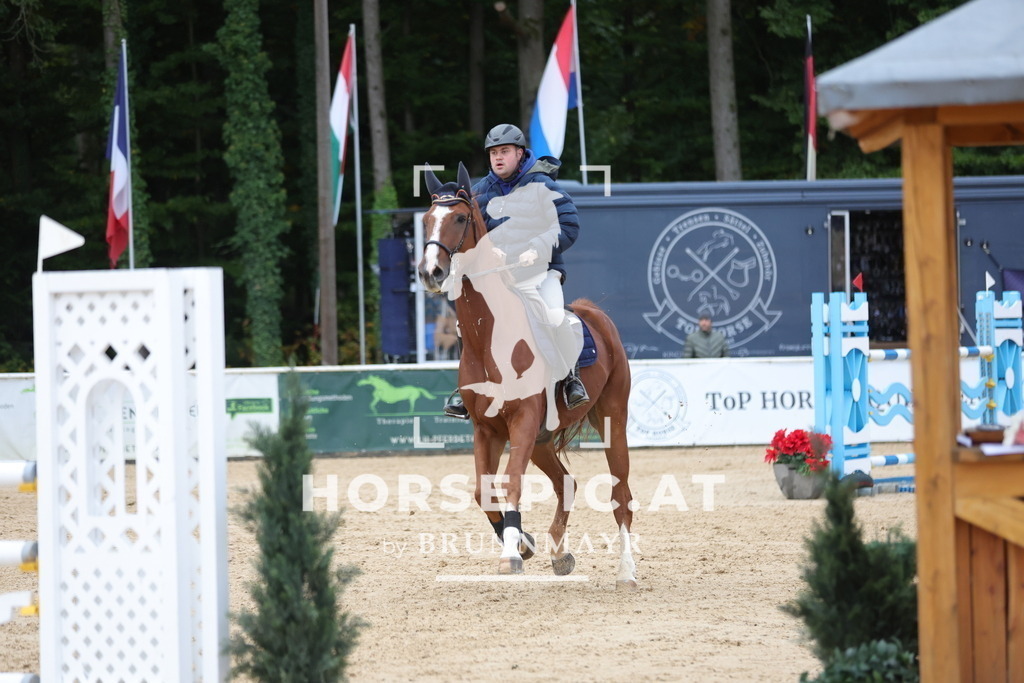 0P6A7112 | Willkommen bei Brunnmayr - Design & Fotografie – Ihrem Spezialisten für Reitturniere und Pferdeveranstaltungen in Oberösterreich, Salzburg und Bayern! Seit über 17 Jahren sind wir leidenschaftlich dabei.