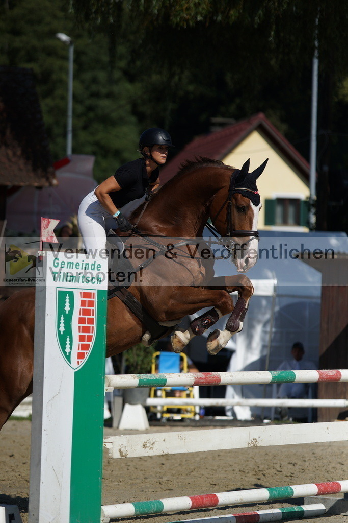DSC01689 | equestrian-live-com