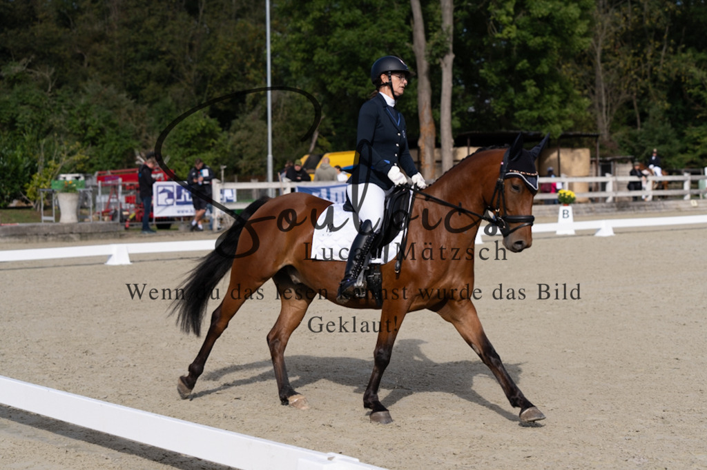 A7V06864 | Turnier/Reitfotograf