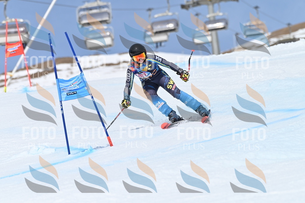 BGV_3116 | holidayphoto