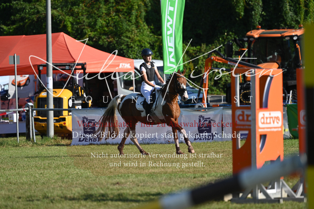 DSC_4887 | Pferde- und Turnierfotografie in Westsachsen. Pferdeportraits, Auftragszeichnungen und intuitive Kunst.