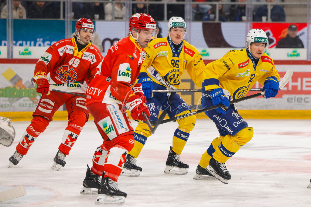 EHCB vs HCD 20260106_wb-0633 | Sportbilder, Sportfotograf, Hochzeits- und Eventfotografin, Flugshows, Portraits und Tiershooting, Aviation, Downhill, Nationalleague, Swissleague, International