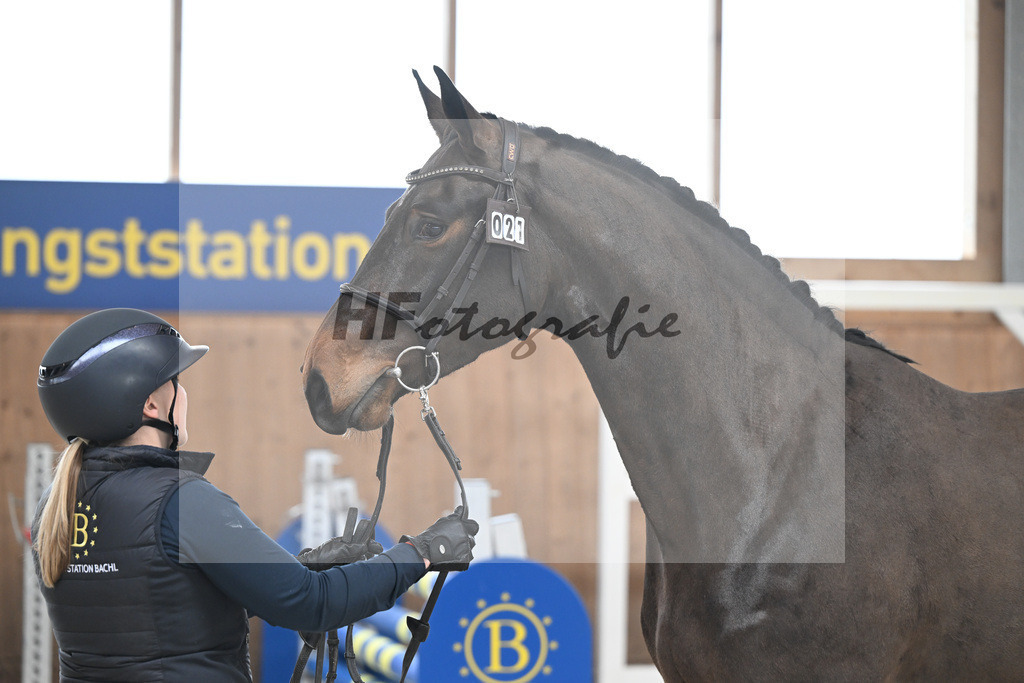 Kat-Nr. 21 Courchevel B v. Cizero Z_Bachl_14260441 | hf-fotografie - Realisiert mit Pictrs.com