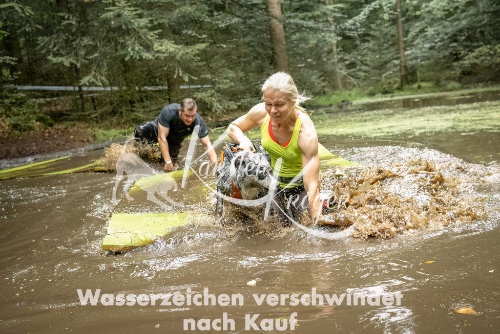 1501_ZZ94386-Bearbeitet | kk-dogfotos