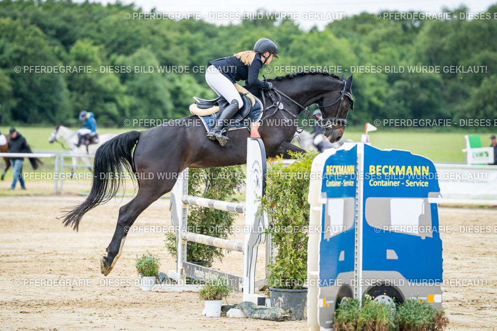 DSC04344 | Pferdegrafie