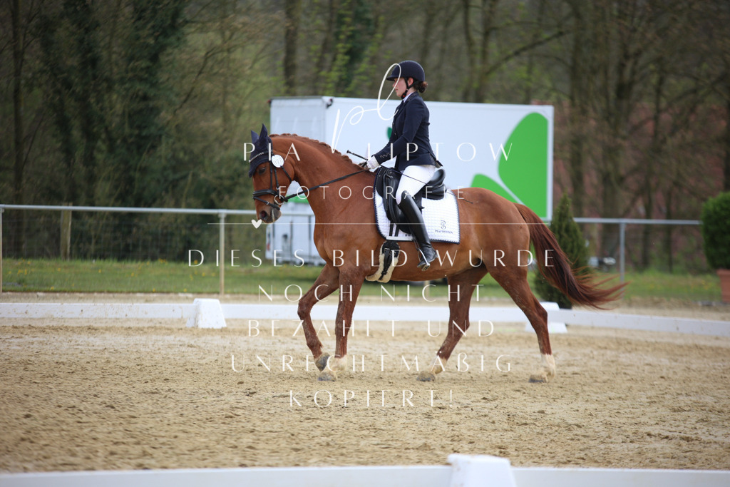 IMGT6791 | pl-fotografie