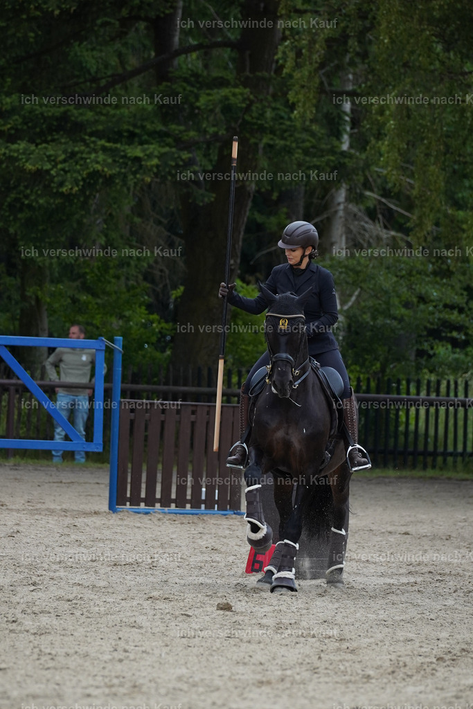 KlasseL_Lucie (4) | working equitationturnier fotograf videograf stoibphotography marixx film working equitation deutschland reitsport turnierfotografie eventfotografie equestrian events