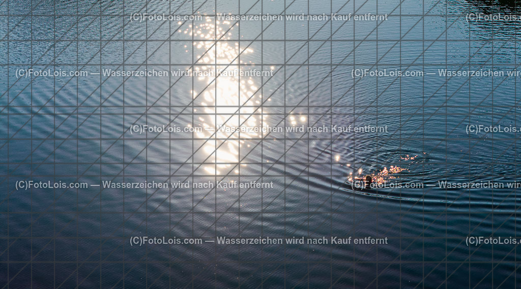 2832_Luftbild_Lunzer See | Luftbild Lunzer See, Mo 15. September 2025