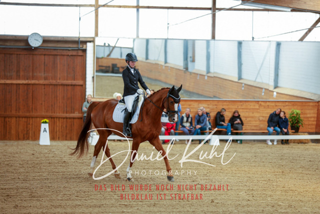 _62_5136 | Turniersportfotografie; Pferdefotografie; Dressurfotografie