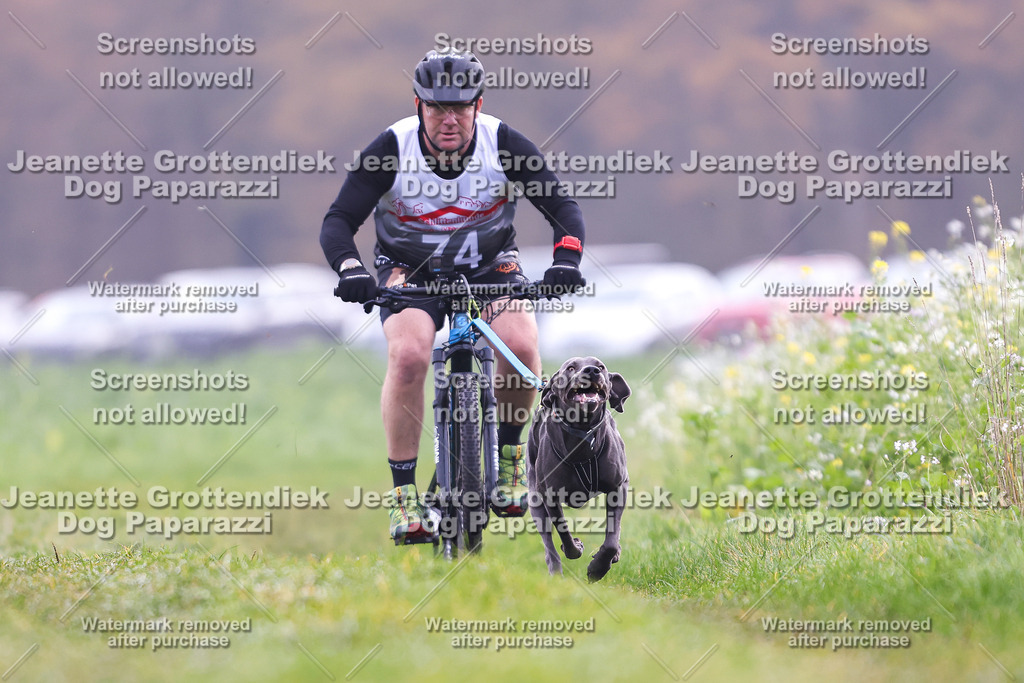 Dog Paparazzi - Visbeck 25 -270 | Dog Paparazzi Jeanette Grottendiek Fotografie & Videografie - Realisiert mit Pictrs.com