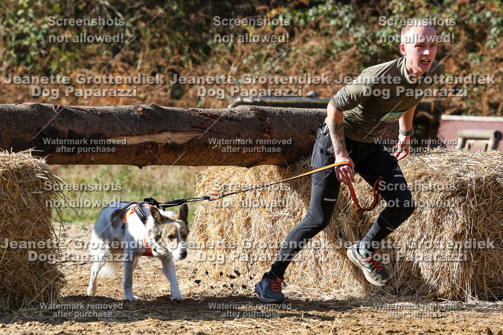 Dog Paparazzi - Strongdog 10-25-4816 | Dog Paparazzi Jeanette Grottendiek Fotografie & Videografie - Realisiert mit Pictrs.com
