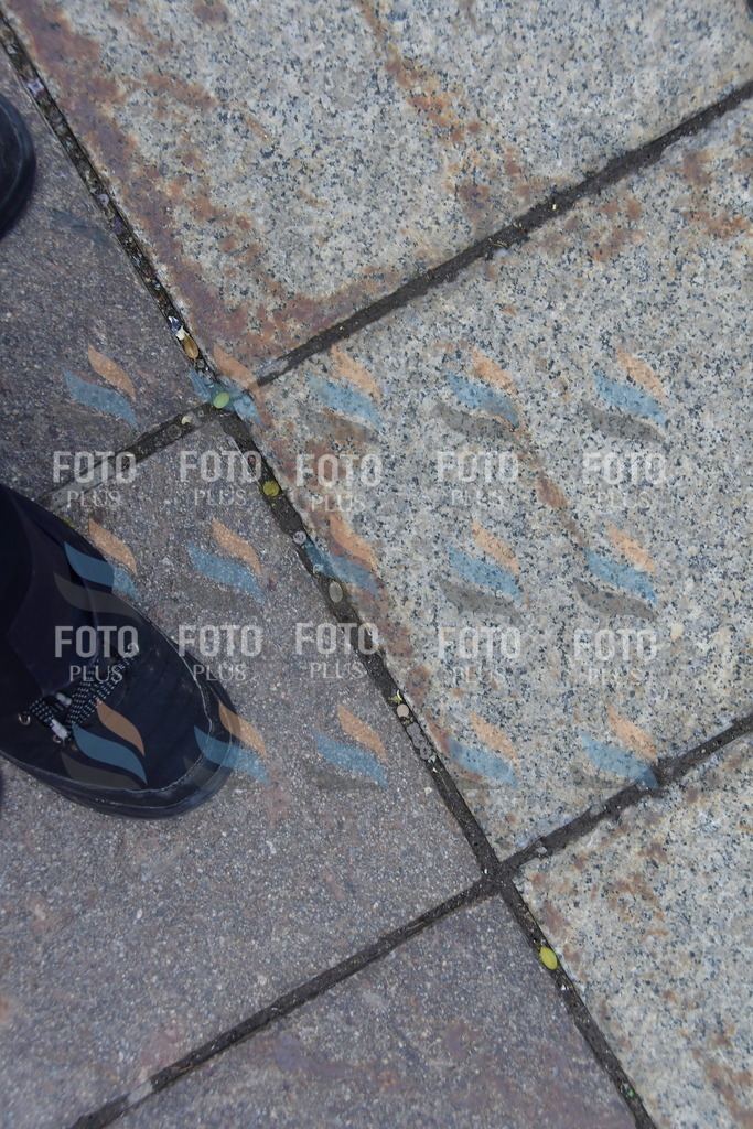 _DSC1818 | holidayphoto