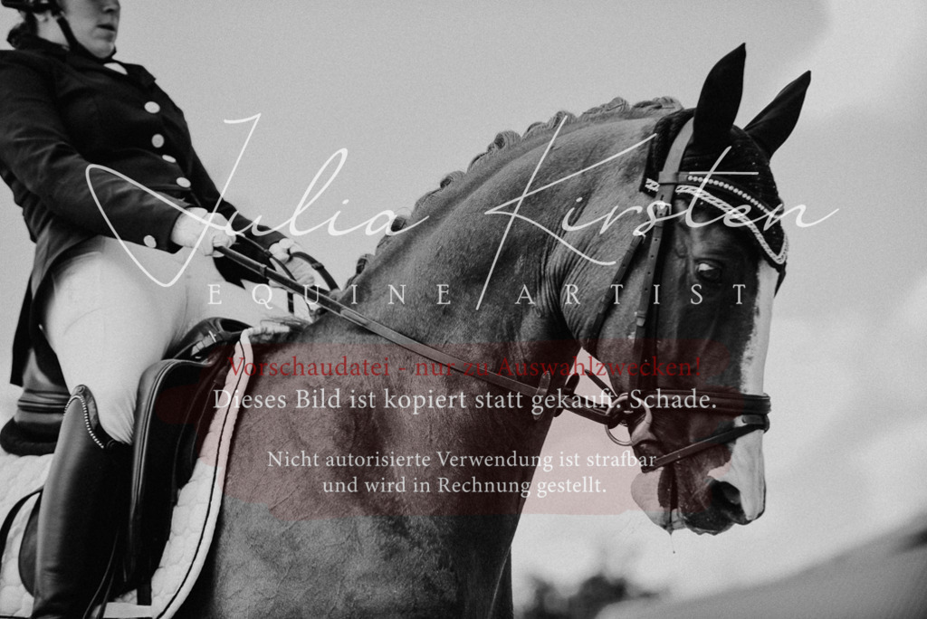 DSC_9323 | Pferde- und Turnierfotografie in Westsachsen. Pferdeportraits, Auftragszeichnungen und intuitive Kunst.
