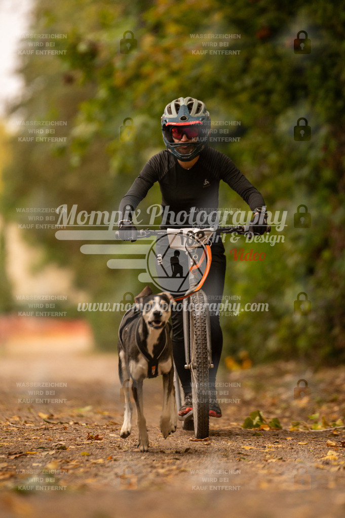 CDLBDB_14_10_2023_Samedi-149 | PayLife