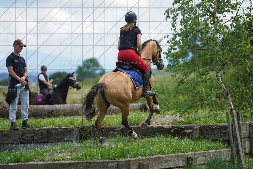 20240622-FAH07364 | Turnierfotografen Bayern, Reitsportbilder aus dem Geländekurs mit Felix Etzel auf dem Gut Waitzacker 2024