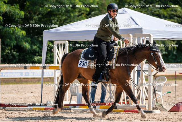 Zeiskam Tag 1-364 | dv-media-shop - Realisiert mit Pictrs.com