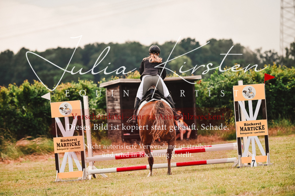DSC_6880 | Pferde- und Turnierfotografie in Westsachsen. Pferdeportraits, Auftragszeichnungen und intuitive Kunst.
