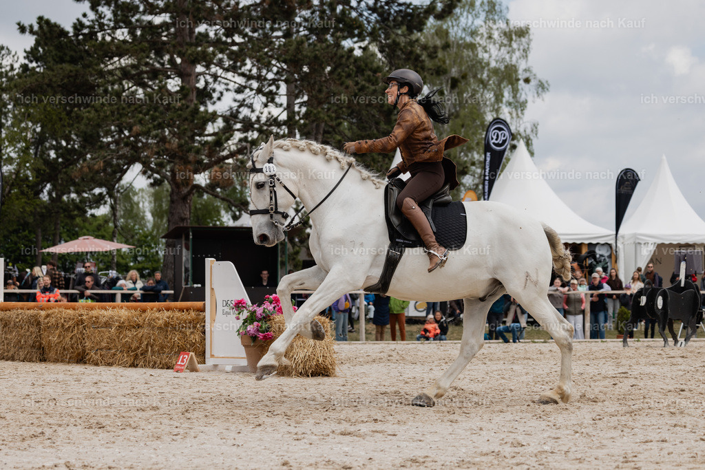 PI26_SP_StoibphotographyC2_C1543.jpg | working equitationturnier fotograf videograf stoibphotography marixx film working equitation deutschland reitsport turnierfotografie eventfotografie equestrian events