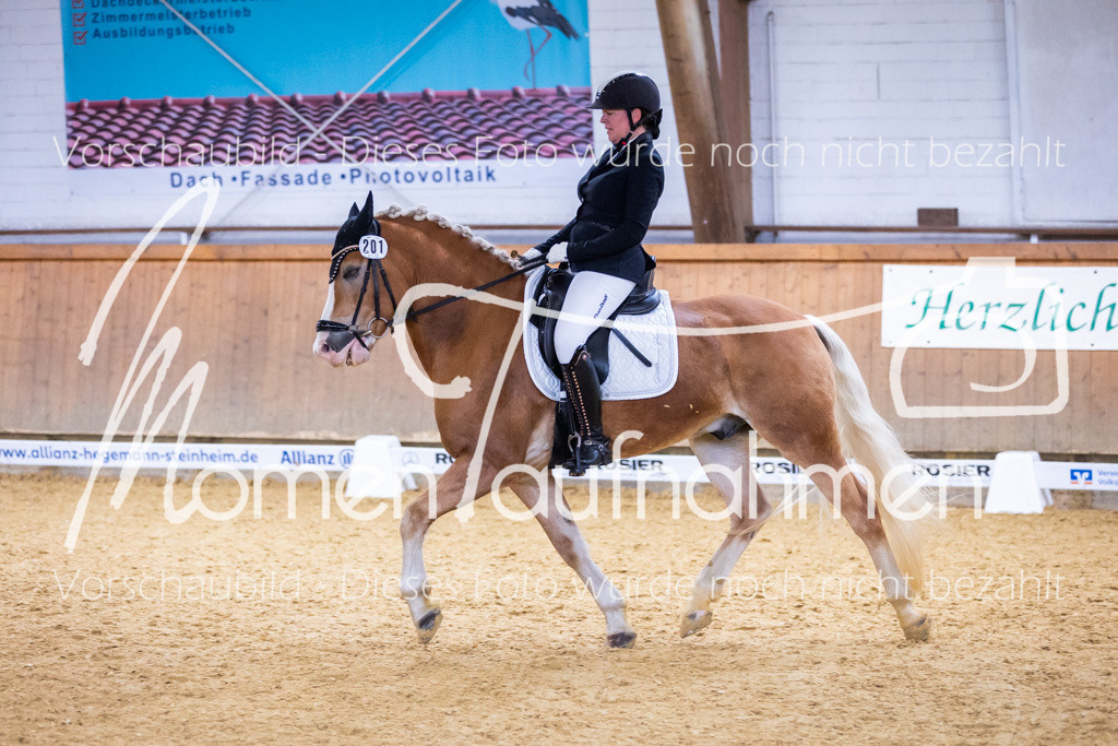 Sth-A-Dre-2St-043 | MomenTaufnahmen Pferdesportfotos