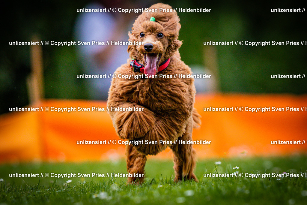 Sven Pries | 2025-05-29 - Pudelrennen KA-Durlach - Realisiert mit Pictrs.com