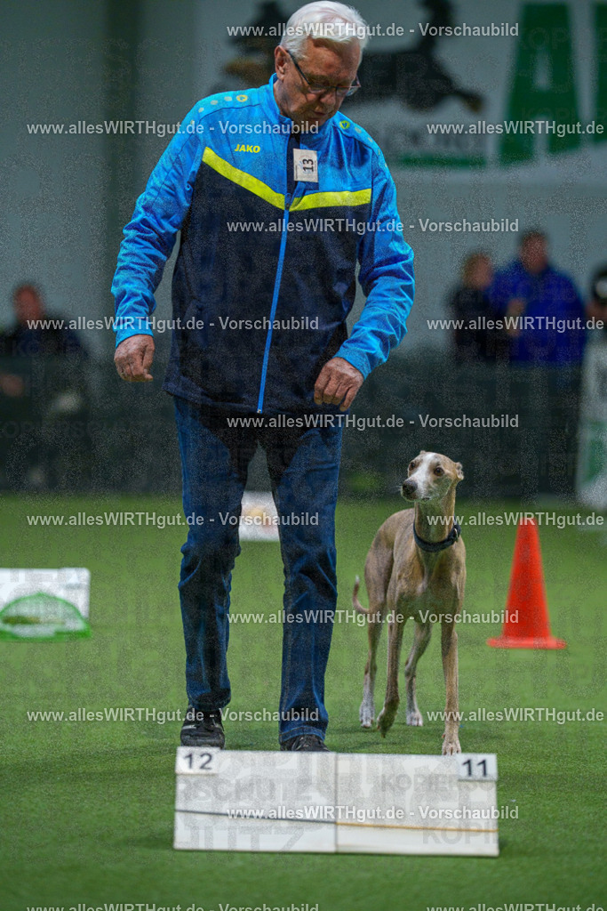 7R500360 | Professionelle Tierfotografie in Mönchengladbach von Daniel Wirth (allesWIRTHgut). Liebevolle & natürliche Bilder von Hunden & Katzen für unvergessliche Erinnerungen.