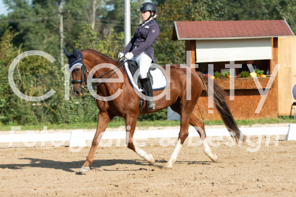 IMG_0557 | Creatify Fotografie