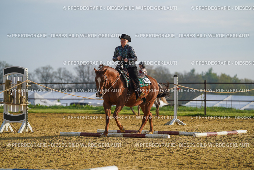 DSC00601 | Pferdegrafie